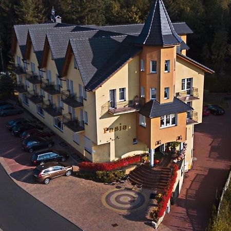 Pasja Bed & Breakfast Swieradow-Zdroj Exterior photo